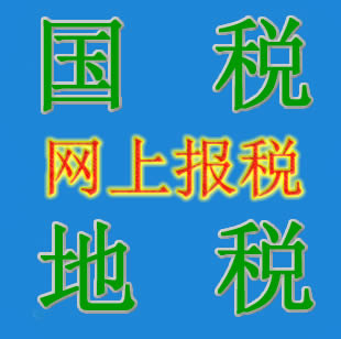 Individual accounts online tax report Jinan Shandong Professional Agency for Tax Reporting Monthly Reporting