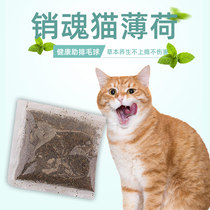 Catnip powder hair removal ball grinding teeth cleaning breath cleaning Toys cat snacks cat grass slices seeds instant mint