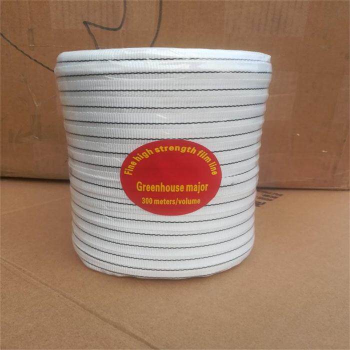 Greenhouse accessories polyester silk high-strength white laminated film with laminated rope high-quality anti-aging 7nsTH8WBe