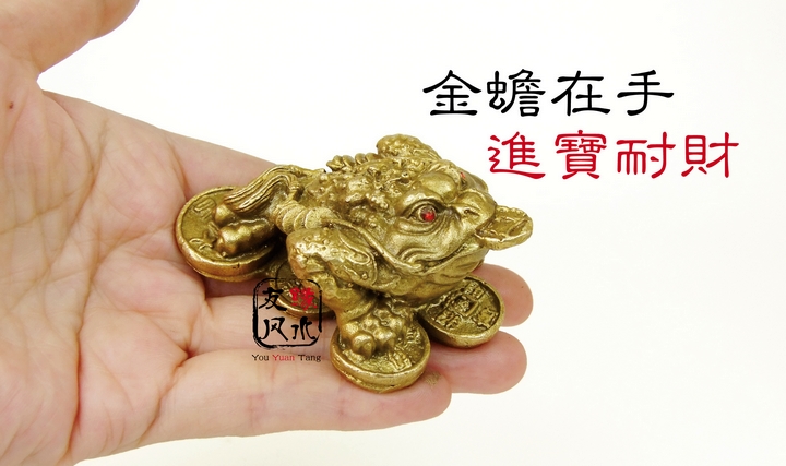 Đặc biệt cung cấp vàng đồng nguyên chất 蟾 đồ trang trí nhỏ vàng may mắn 蟾蜍 vàng 蝉 Wangcai trang trí nhà bằng đồng nguyên chất Phong thủy mở vật tư xây tường trang trí phòng khách