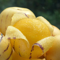 Its delicious. Please go to the (old time and old taste) store to buy.