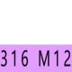 Цвет шампанского M12 316 (2)
