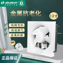Golden Antelope Exhaust Fan 12 Inch Kitchen Toilet Powerful Exhaust Fan Wall Ventilator APB30-6-1 Half-plastic