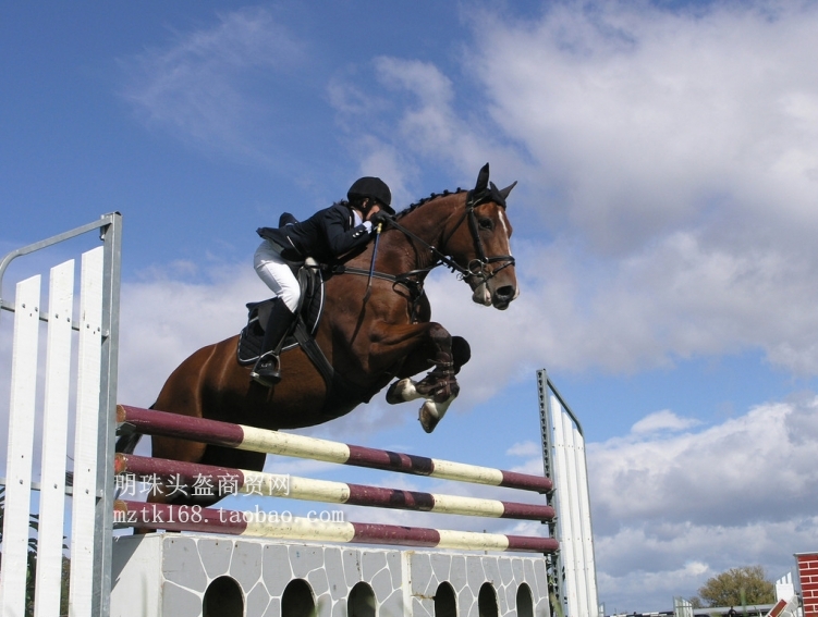 Article sports equestres QIDEKUAI - Ref 1378820 Image 15