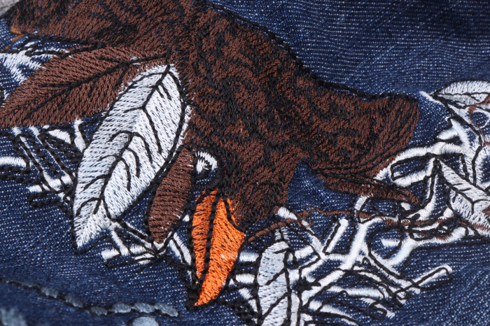 Raven trong hoa và thực vật trong thêu đẹp giữa phụ nữ lỏng lẻo bùng jeans quần jean rách hàn quốc