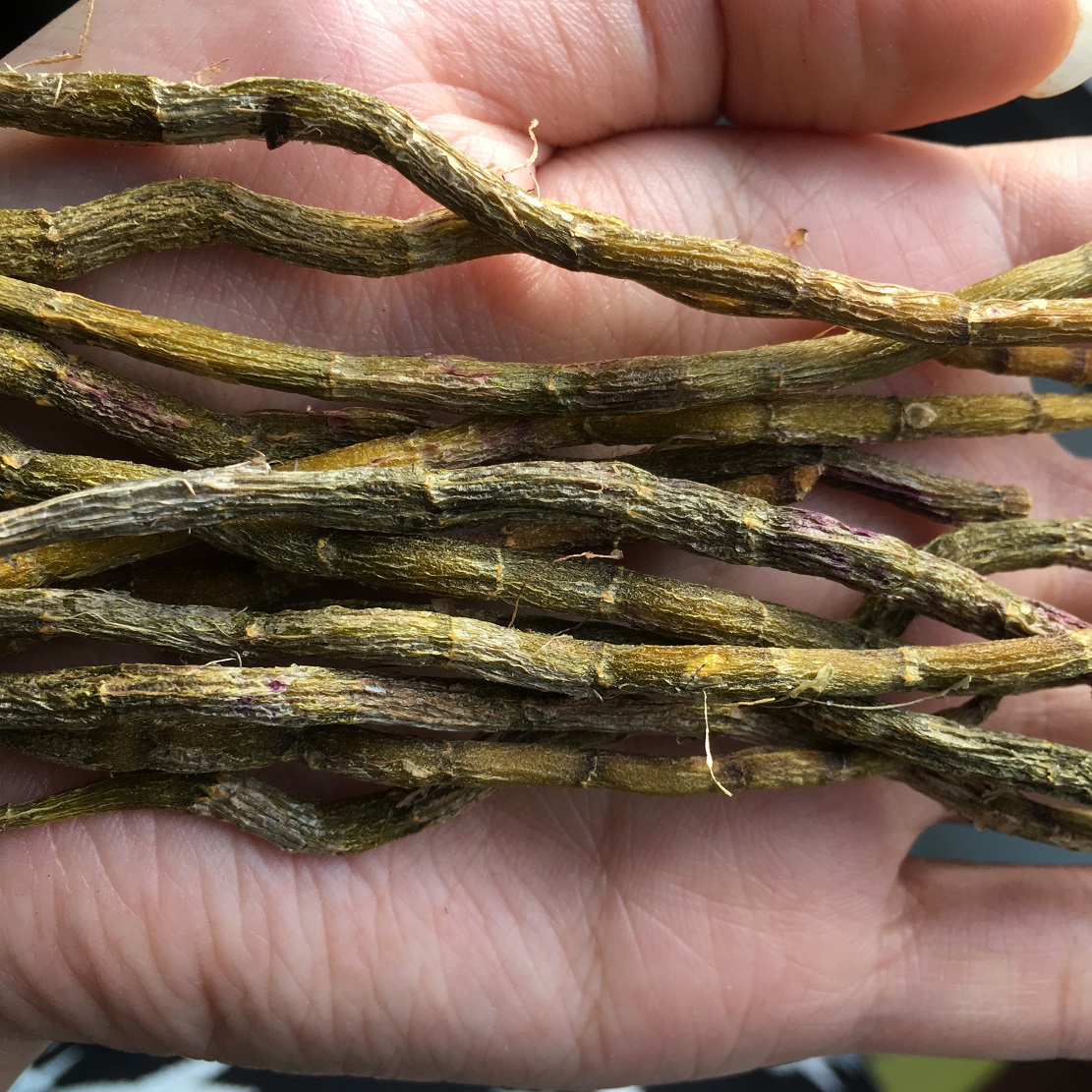 Yueqing Iron Dendrobium Inch Gold Bar Iron Maple Bucket Dry Bar Gold Bar Baked Bar Whole Free Grinding Maple Bucket Powder