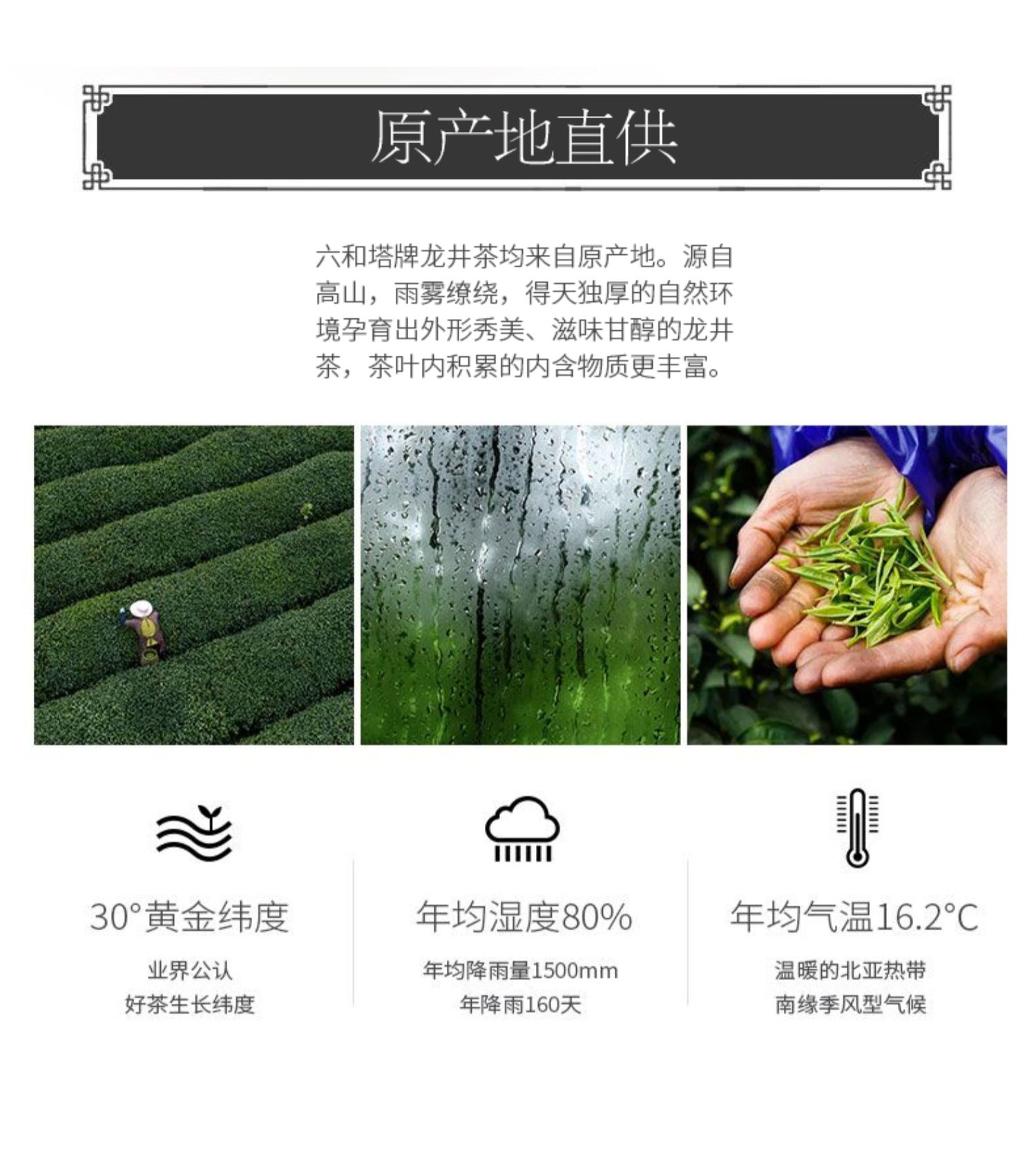 【六和塔】明前特级西湖龙井茶200g