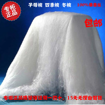 Silk quilt 100%mulberry silk Spring and Autumn Aibo silk summer quilt Mother quilt Double quilt Single quilt Childrens quilt