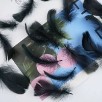 Около 50 коричневых черных