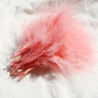 Sunset Red, около 50 вен