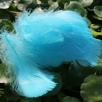 Около 100 корней павли