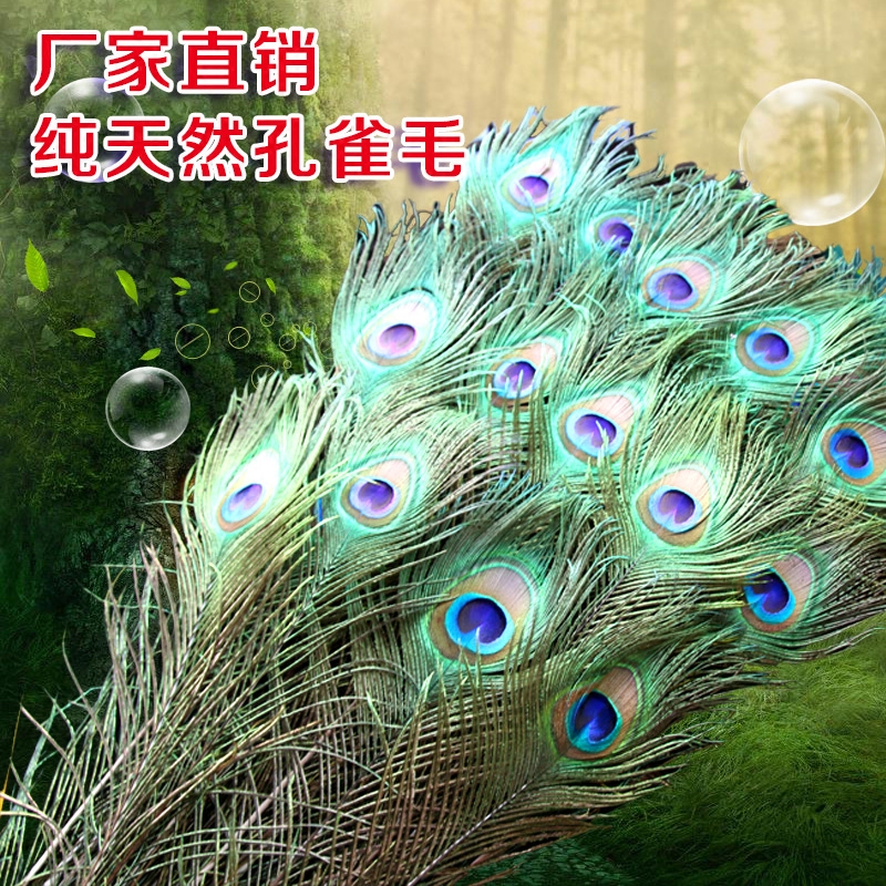 25-120cmDIY Hair accessories earrings Scarf jewelry Craft decoration Peacock feathers Home decoration feathers