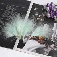 Fairy Green, около 50 вен