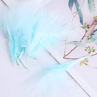 Светло -голубой везикул около 50 штук