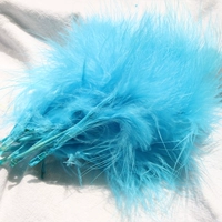 Озеро Blue Vascularis около 50