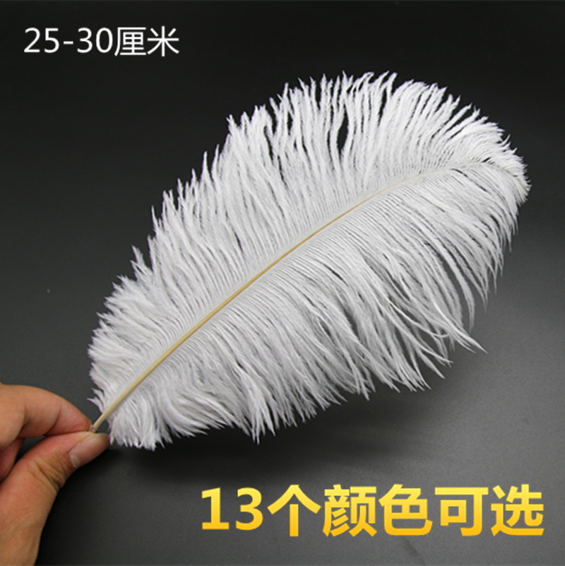 diy feather 25-30cm South Africa imported Ostrich feather cat stick hat bag head ornament decorative material feather