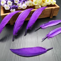 Темно-фиолетовый