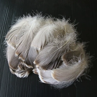 Около 100 натуральных цветов натурального цвета