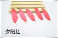 Около 10 закатов