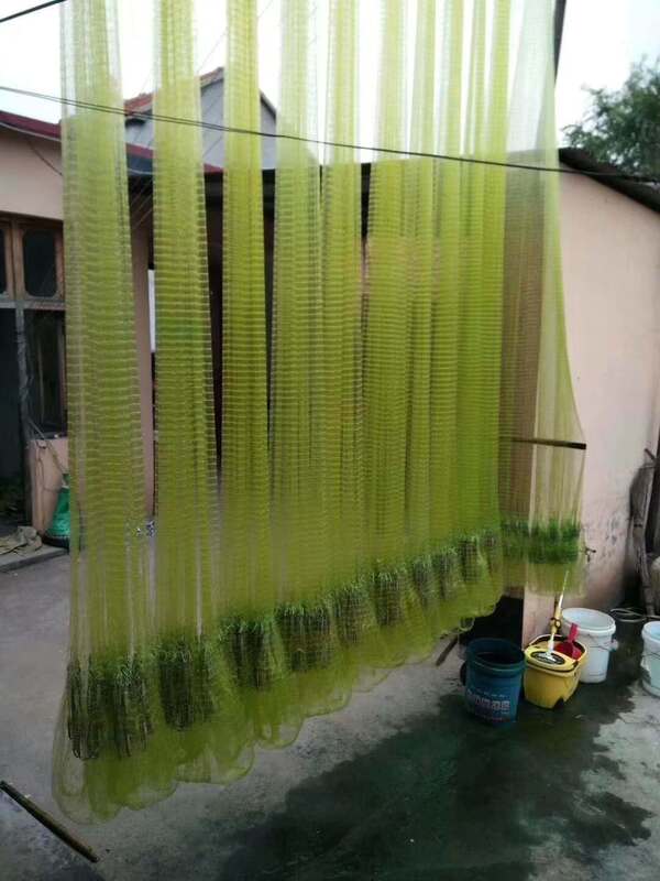 Purely Handmade Monofilament Fishing Line, Imported Fishing Line, Cast Net, High-Strength Monofilament, Traditional Cast Net, Old Spinning Net Purely Handmade Monofilament Fishing Line, Imported Fishing Line, Cast Net, High-Strength Monofilament, Traditional Cast Net, Old Spinning Net