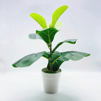 Simulation green planting potted plant emulated fig leaf small banyan tree bonsai fake flower potted artificial flower small swing piece new stock source