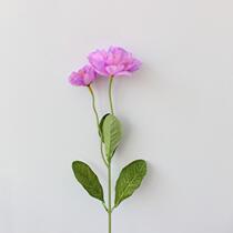 2 head anemone rosemary simulation flower silk flower foreign trade silk flower factory price fake flower new