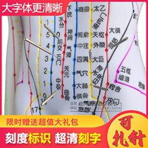  Meridian acupuncture model ultra-clear human acupuncture point model female male 48CM-national standard version