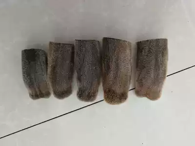 Jilin sika deer main bar antler mouth head wax section blood velvet antler pruning deer antler head stubble dry two bar deer antler 50g