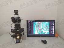 Nikon microscope ECLIPSE E200 5 million pixel CCD camera NIKON ECLIPSE E200