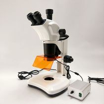 LED downshot fluorescent body view microscope B blue G green body view fluorescence microscope