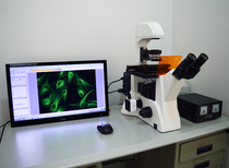 Digital inverted fluorescence microscope 20 million pixels 1 inch Full picture USB3 0 Science class camera
