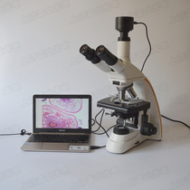 Scientific research grade video biological microscope Scientific research grade digital biological microscope 3 million pixel camera