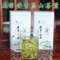 Anji white tea High mountain tea 2020 spring new tea Premium pre-rain tea 250g bulk iron cans