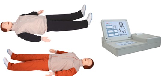 高级自动电脑心肺复苏模拟人GD/CPR10350