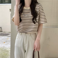 Хаки полоса