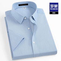 2C360DPA зеленый тонкий [с короткими рукавами]