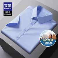 2C360DPA синие полосы [короткие рукава]