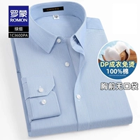 1C360DPA зеленый тонкий [длинные рукава]