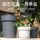 Hollen pot round orchid resin flower pot ກາລອນ pot pot indoor plastic pot deepened and thickened Clivia ຫມໍ້ດອກໄມ້ຂະຫນາດໃຫຍ່