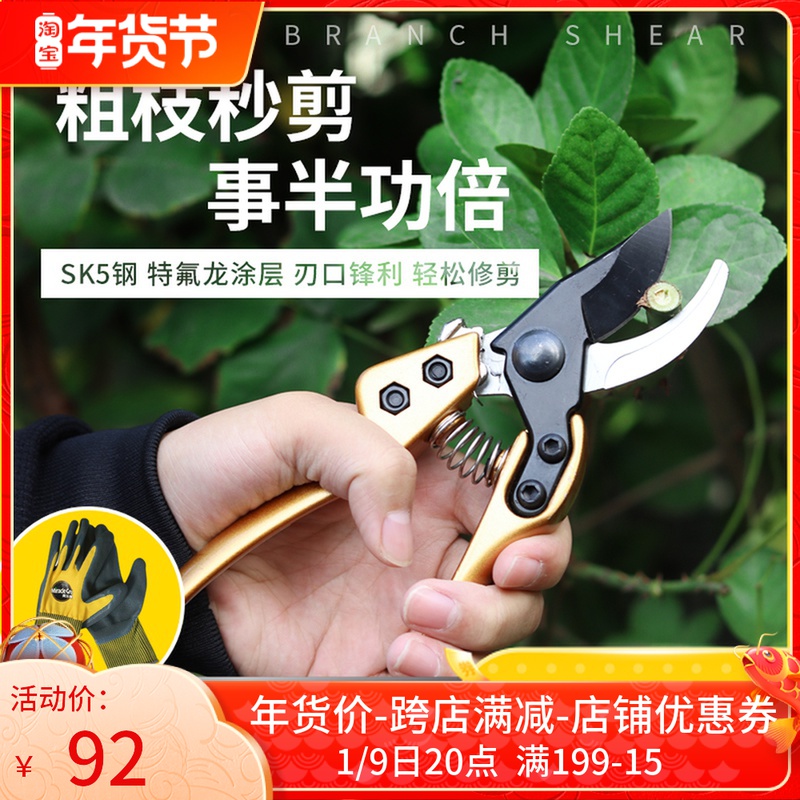 Pruning shears, fruit trees picking, pruning shears, horticultural shears SK5 stainless steel short handle bonsai flowers and small branches shears