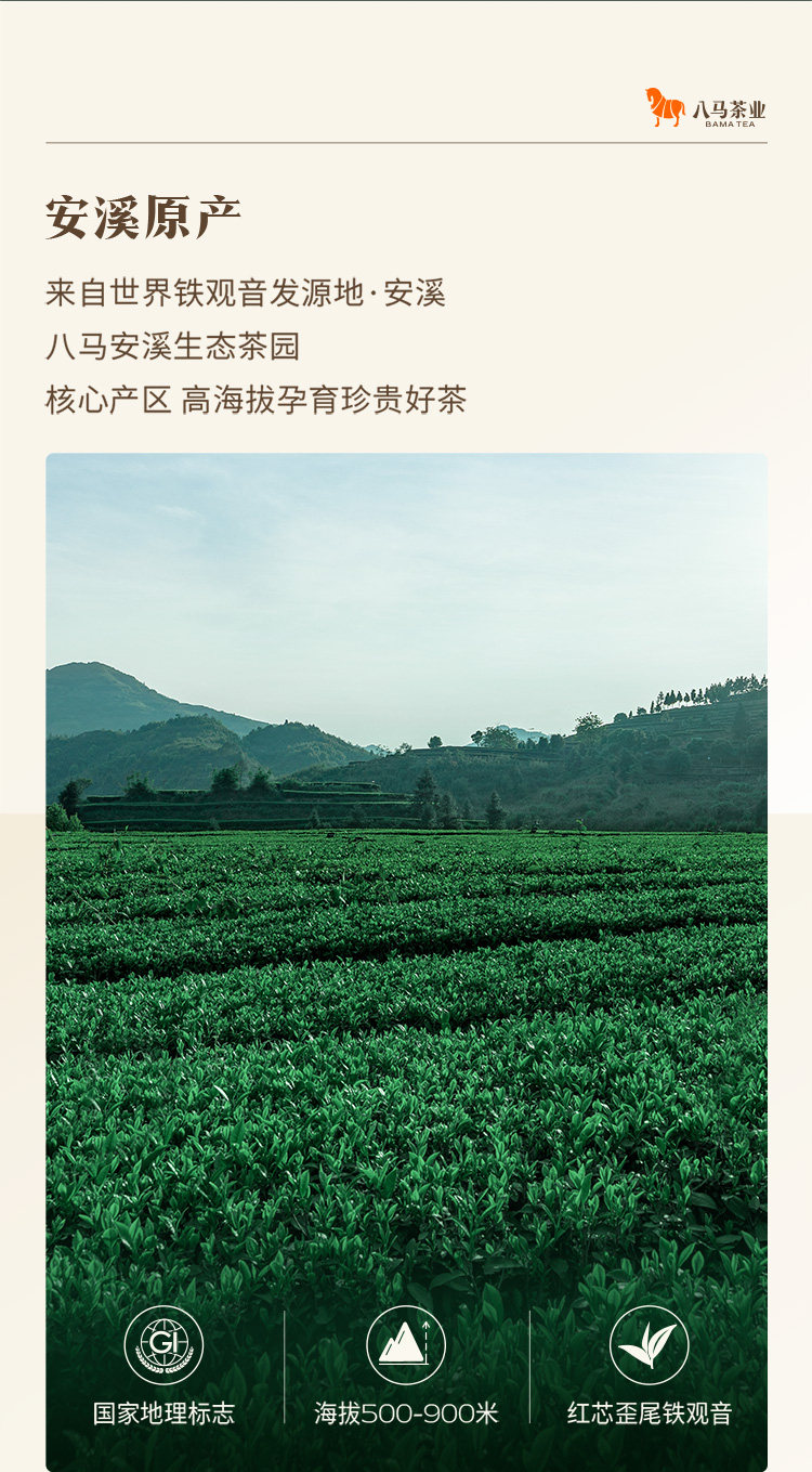 【中國直郵】 八馬茶業 八馬茶葉 安溪鐵觀音 濃香型烏龍茶 特級賽珍珠1000 迷你裝25g/盒