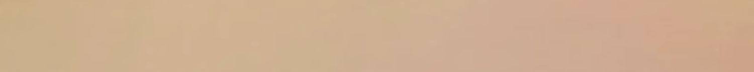 【中國直郵】八馬茶葉 新品江門新會 小青柑福鼎白茶壽眉 36g