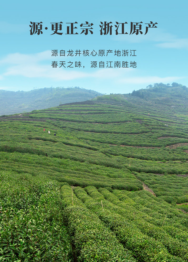 【中國直郵】八馬茶葉 2023年新茶春茶 浙江龍井綠茶 自己喝的茶罐裝50g