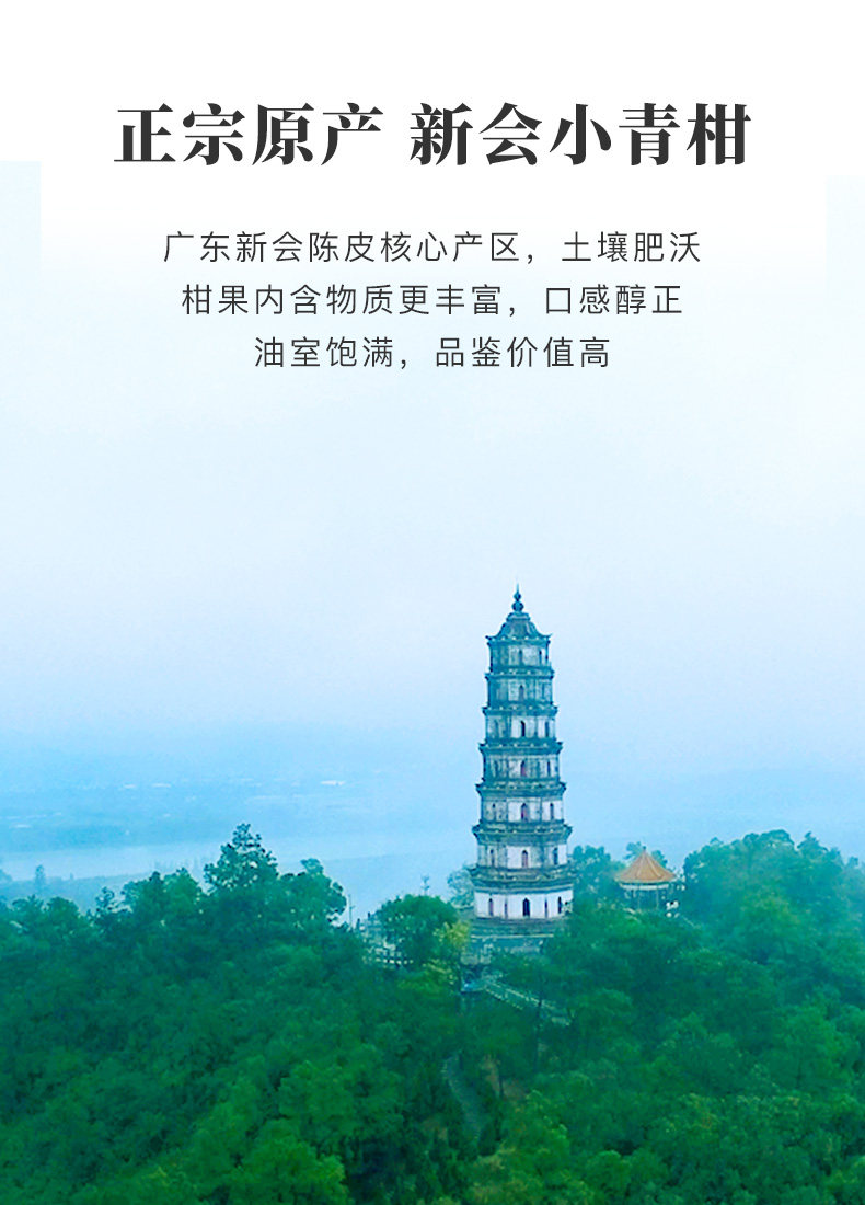 【中國直郵】八馬茶葉 新品江門新會 小青柑福鼎白茶壽眉 36g