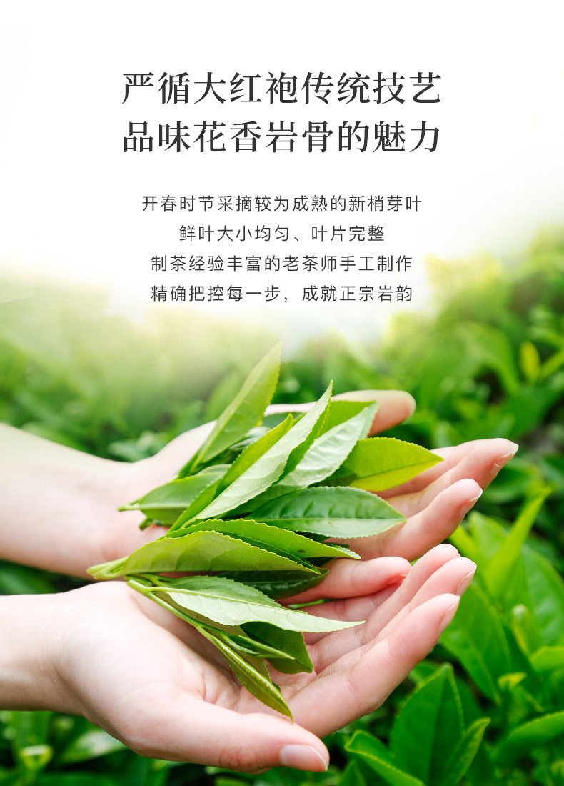 【中國直郵】 八馬茶業 武夷山岩茶 大紅袍茶葉烏龍茶葉自己喝 50g