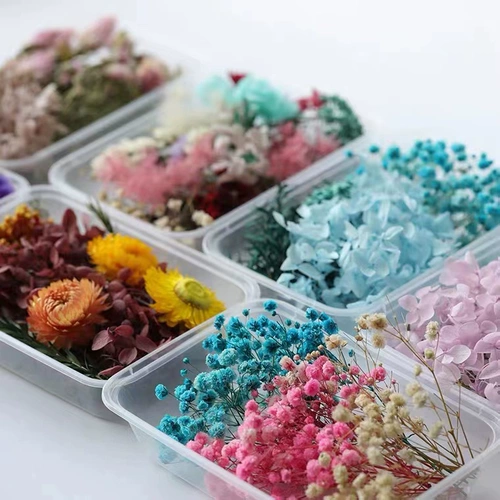 Вечная жизнь цветочный цветок