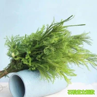 Озеро синий → сухой цветочный камень сосновый луч