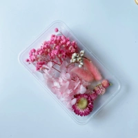 Розовая красавица → сухие цветы