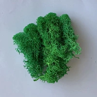 Цвет верблюда → Eternal Moss Green 20G