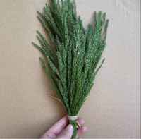 Свежий Тяньчжу Иза